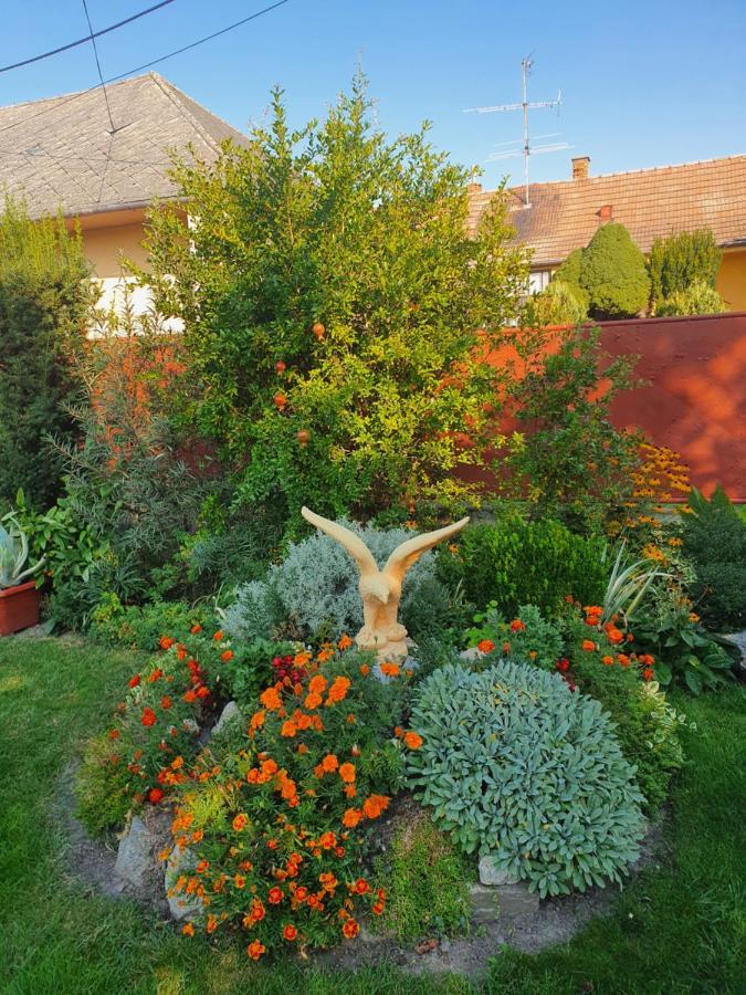 Privat U Jozefa Foeldesa Apartamento Veľký Meder Exterior foto
